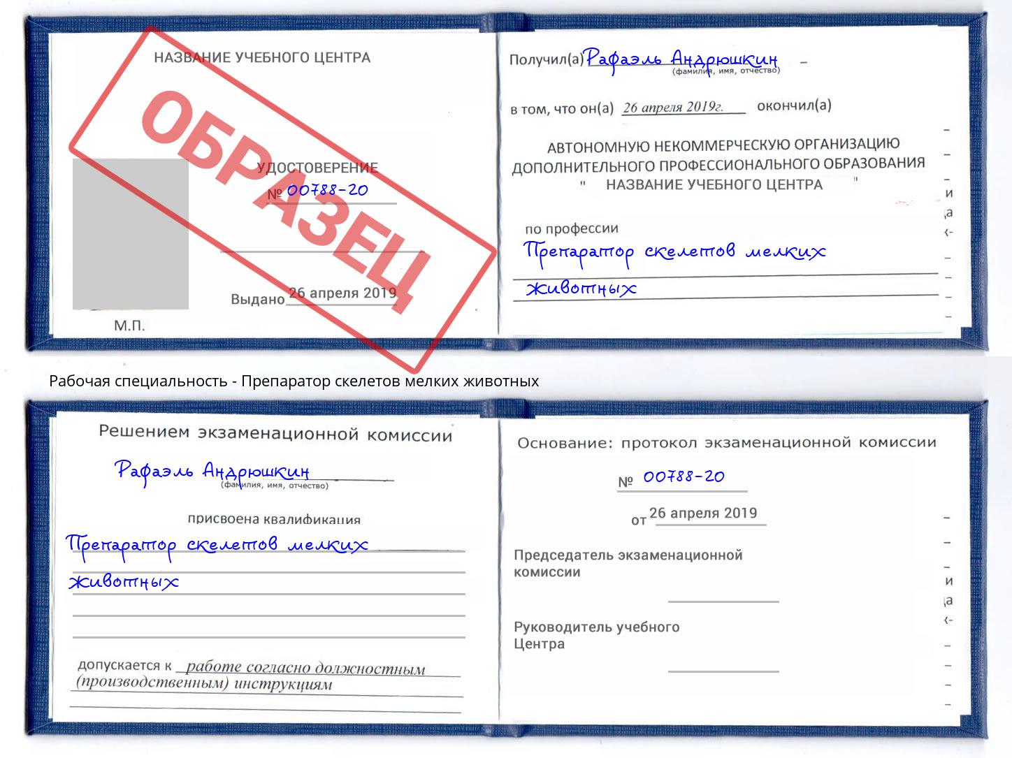 Препаратор скелетов мелких животных Липецк