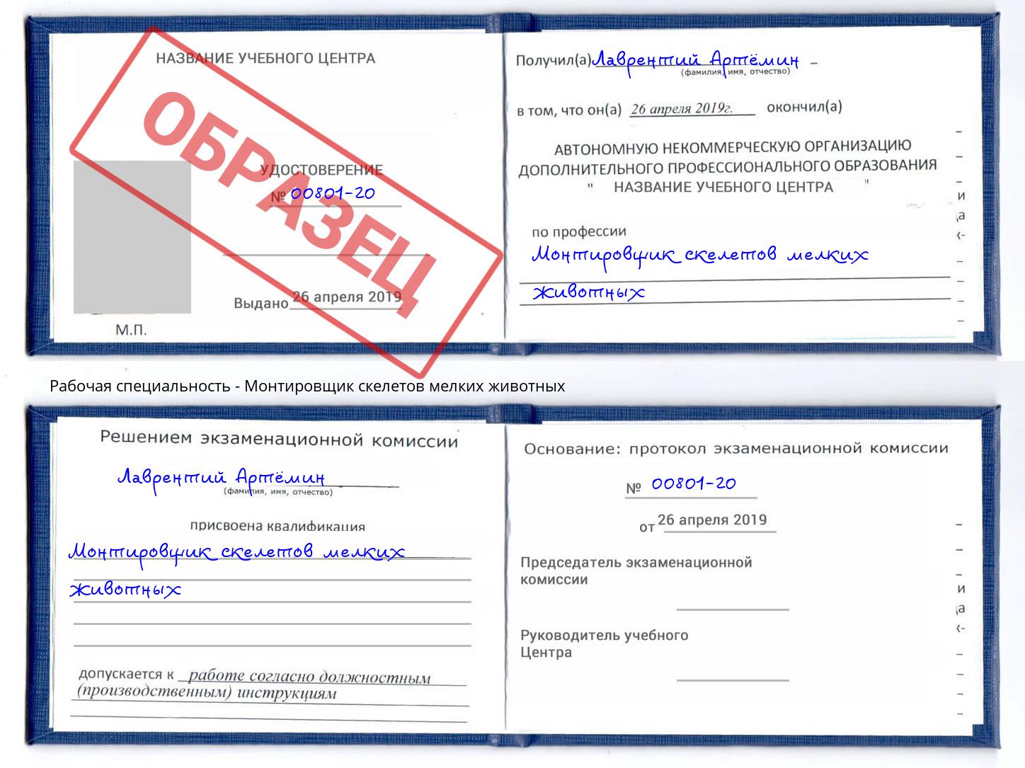 Монтировщик скелетов мелких животных Липецк