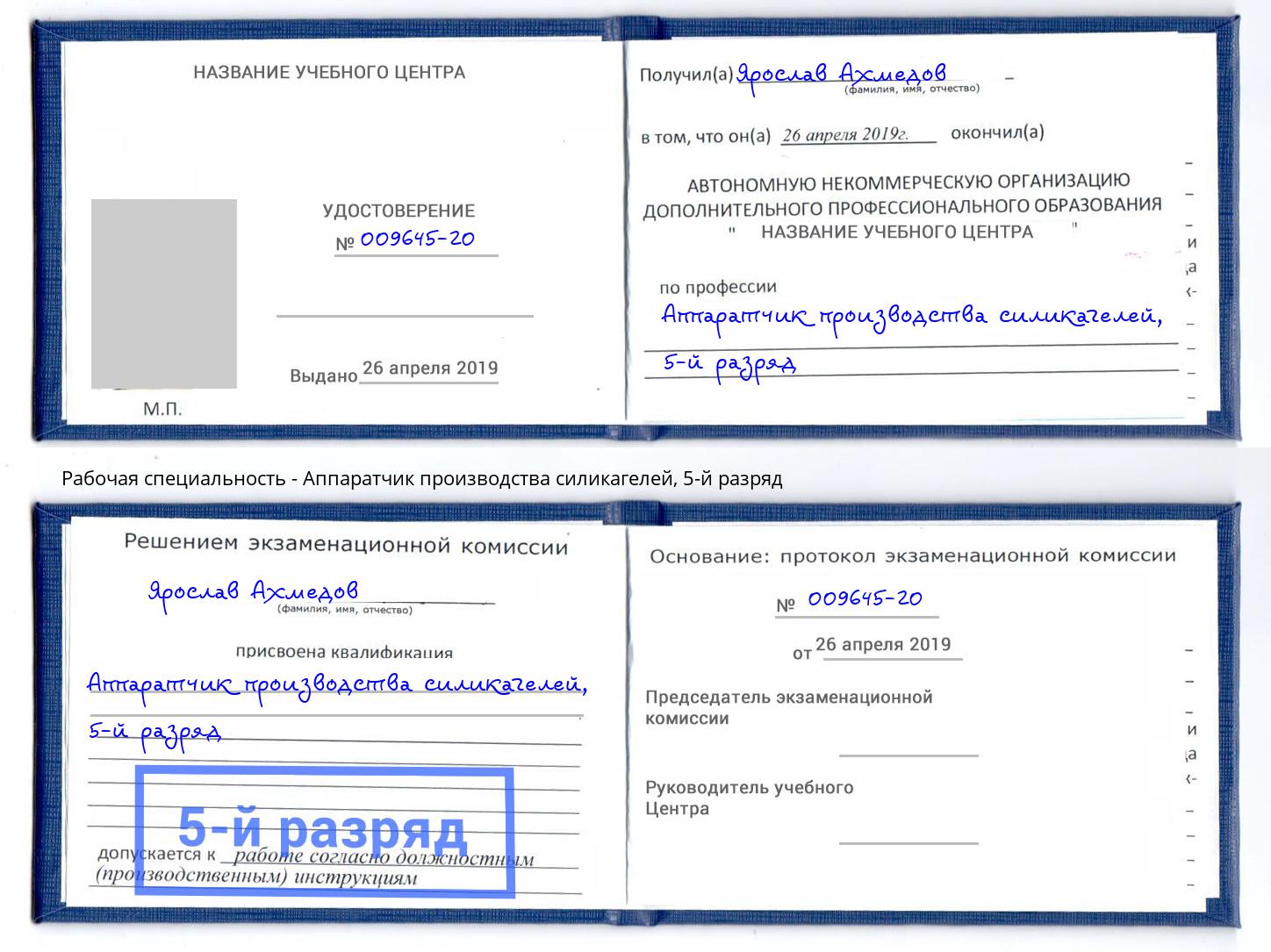 корочка 5-й разряд Аппаратчик производства силикагелей Липецк