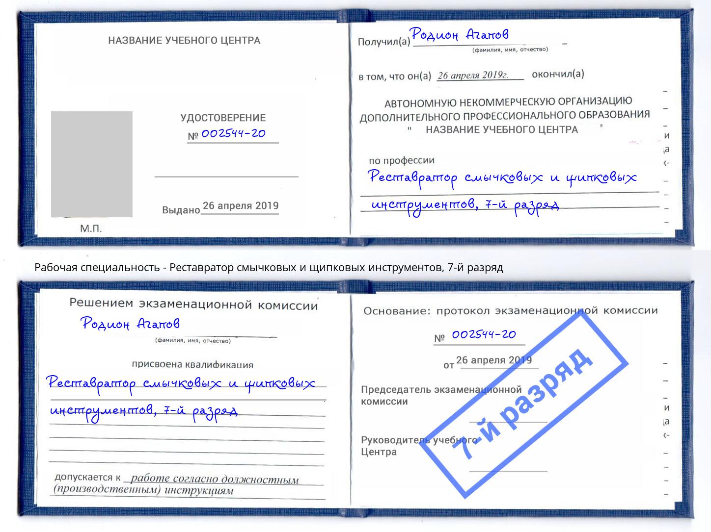 корочка 7-й разряд Реставратор смычковых и щипковых инструментов Липецк