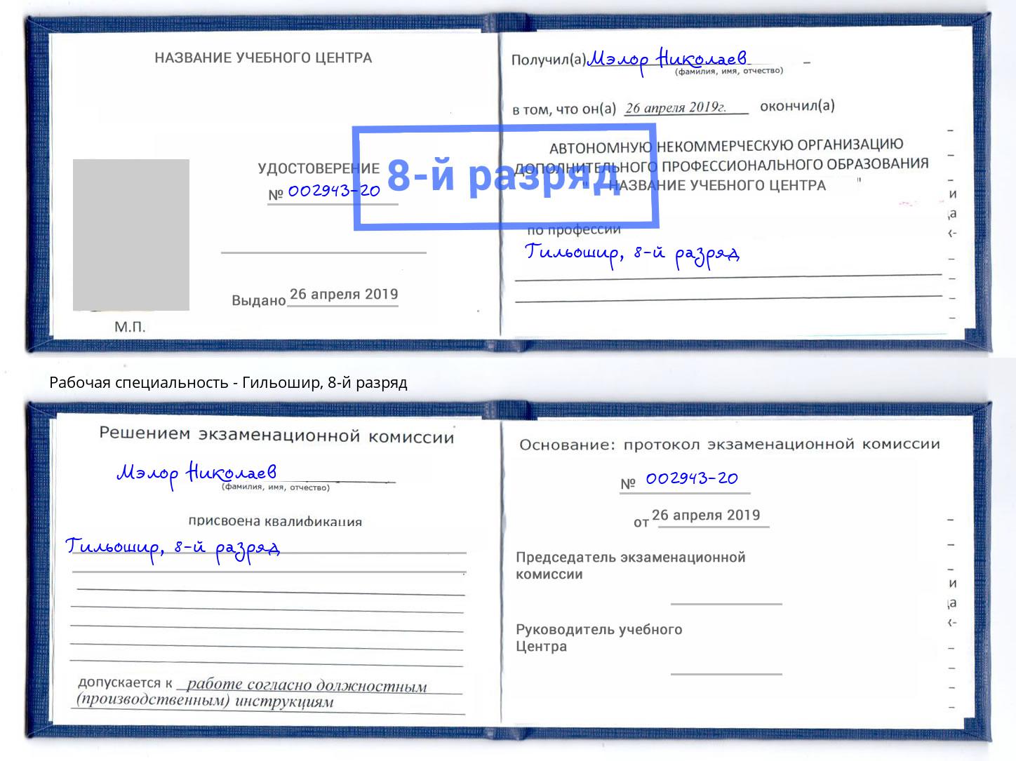корочка 8-й разряд Гильошир Липецк
