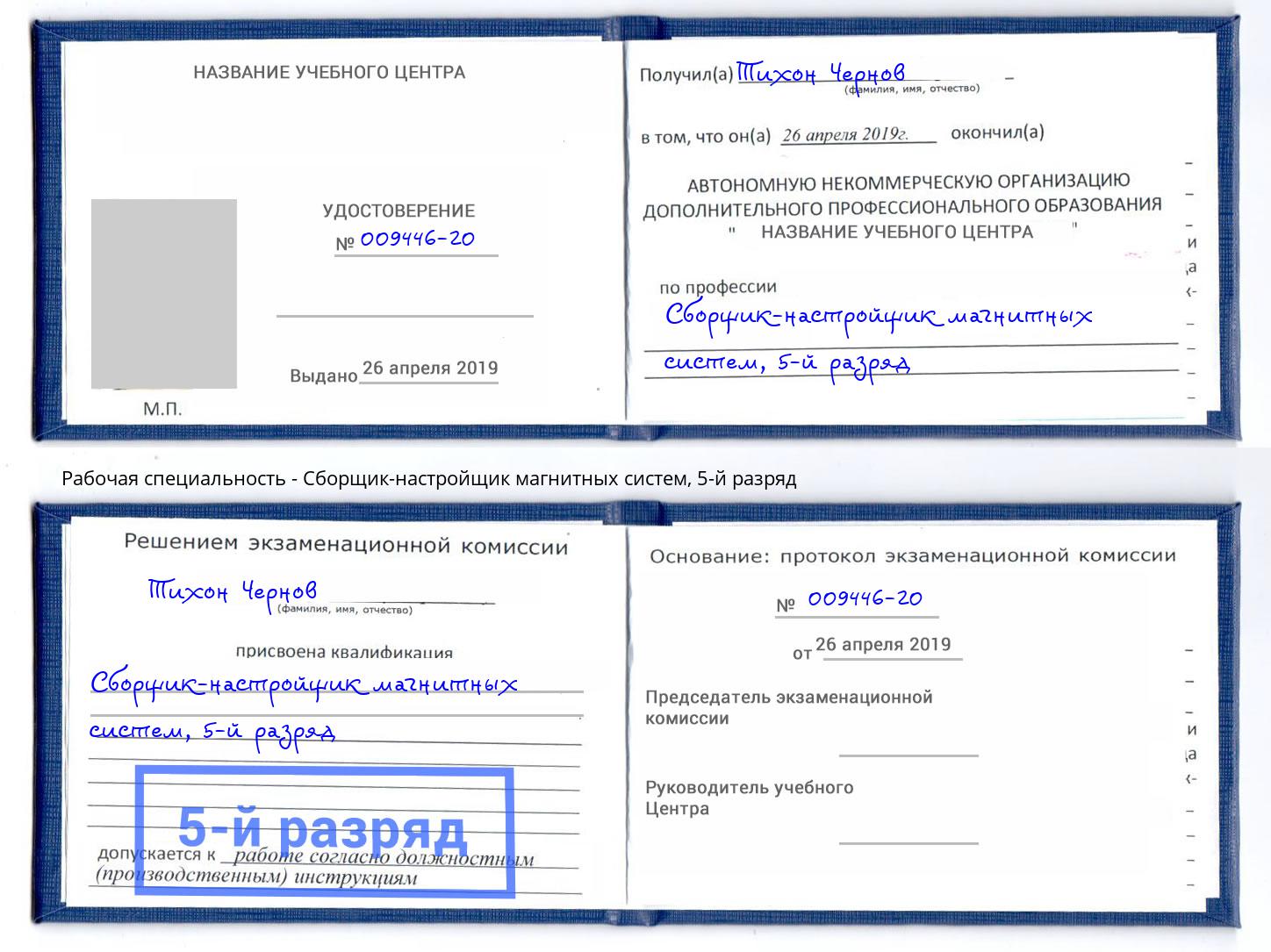корочка 5-й разряд Сборщик-настройщик магнитных систем Липецк